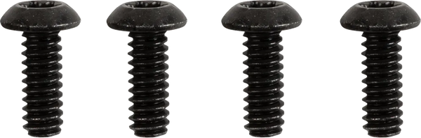 Switch Housing Screw Kit. HD 96-17 Softail, Dyna, 96-07 FLT/Touring, 96-22 XL Sportster, 02-17 V-Rod.