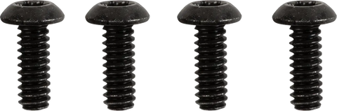 Switch Housing Screw Kit. HD 96-17 Softail, Dyna, 96-07 FLT/Touring, 96-22 XL Sportster, 02-17 V-Rod.