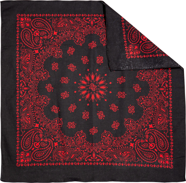 Carolina Mfg. Paisley Bandanas. "Dallas"