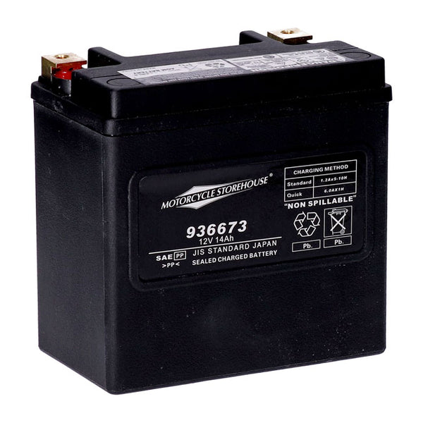 MCS Batteri. HD XL 04-22, Pan America, Street rod, Buell 1125.